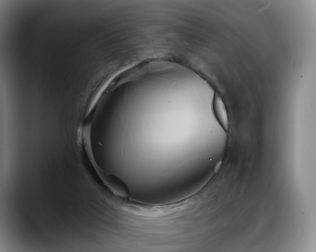 X0000088490019200705291657
