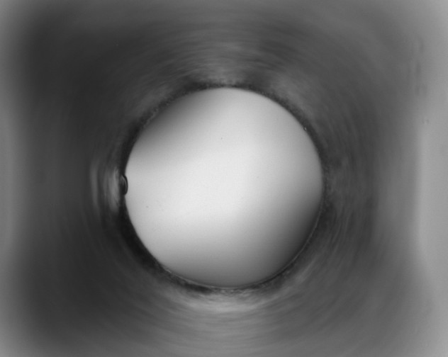 X0000088490020200705291657