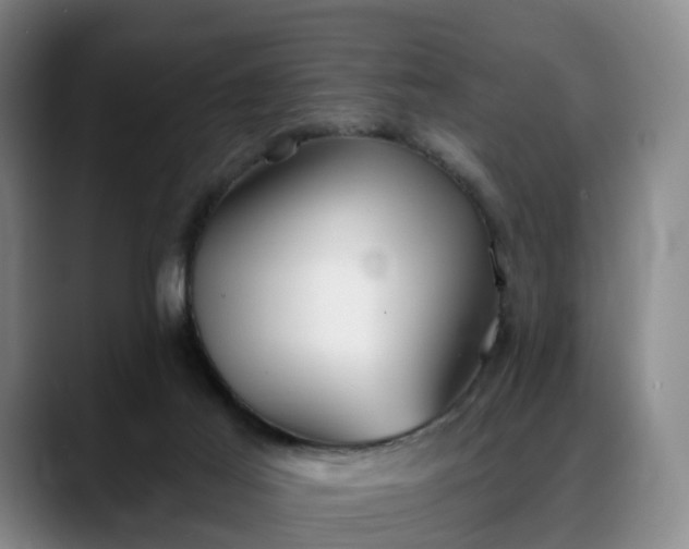 X0000088490021200705291657
