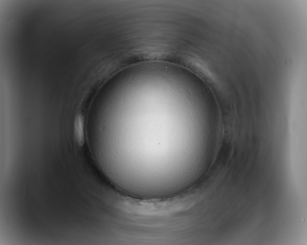 X0000088490022200705291657
