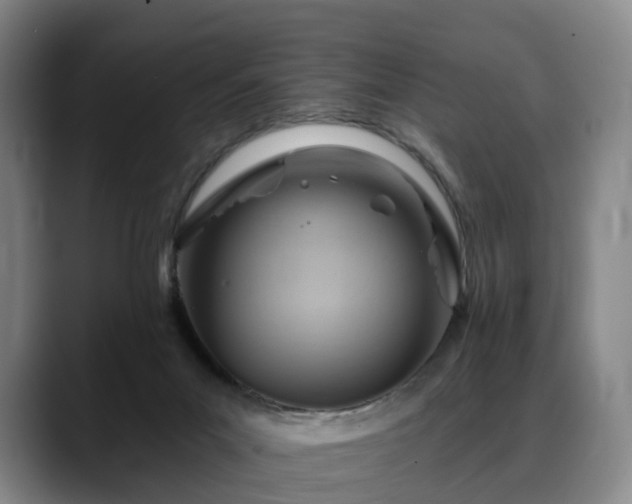 X0000088490023200705291657