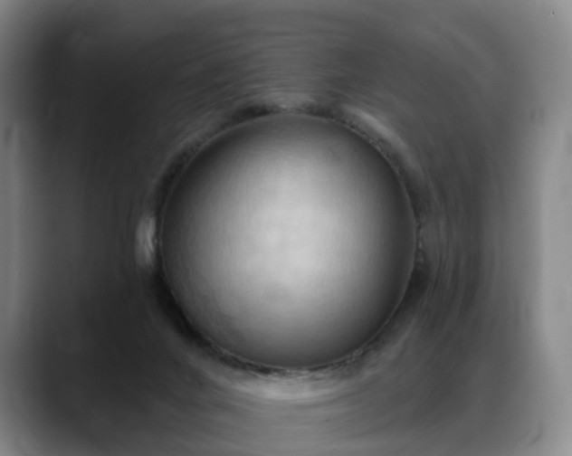 X0000088490024200705291657