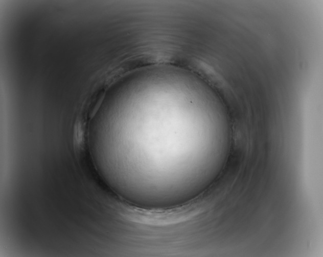 X0000088490026200705291657