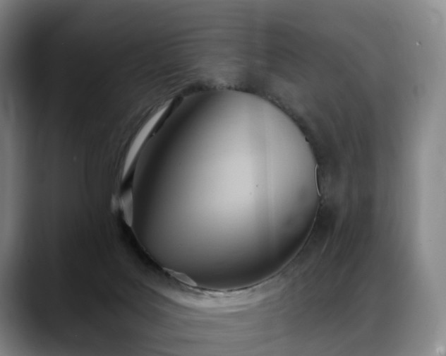 X0000088490027200705291657