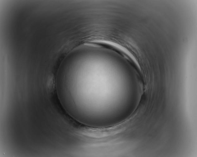 X0000088490029200705291657