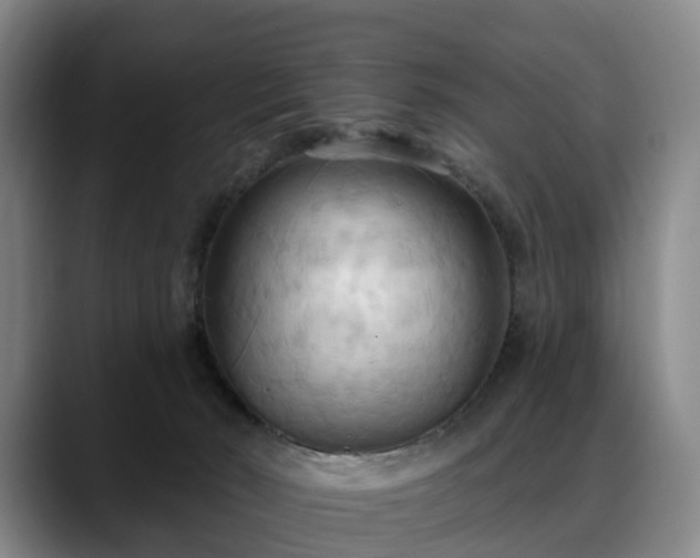 X0000088490030200705291657