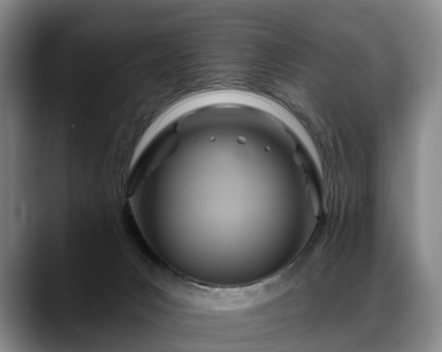 X0000088490031200705291657