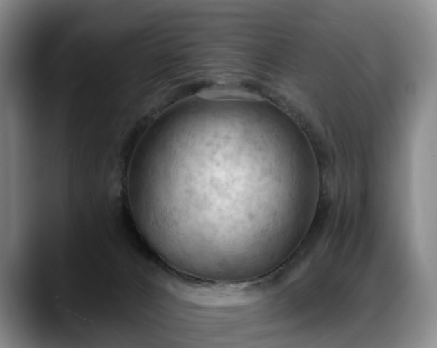 X0000088490032200705291657