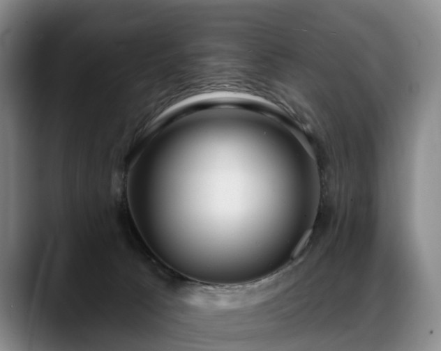 X0000088490033200705291657
