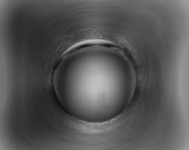 X0000088490035200705291657