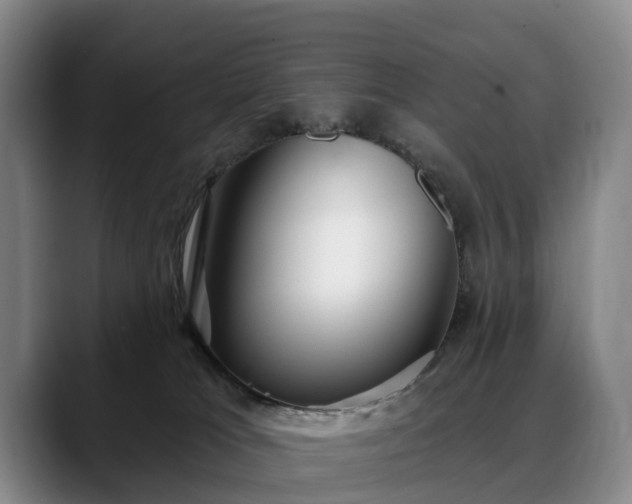 X0000088490037200705291657