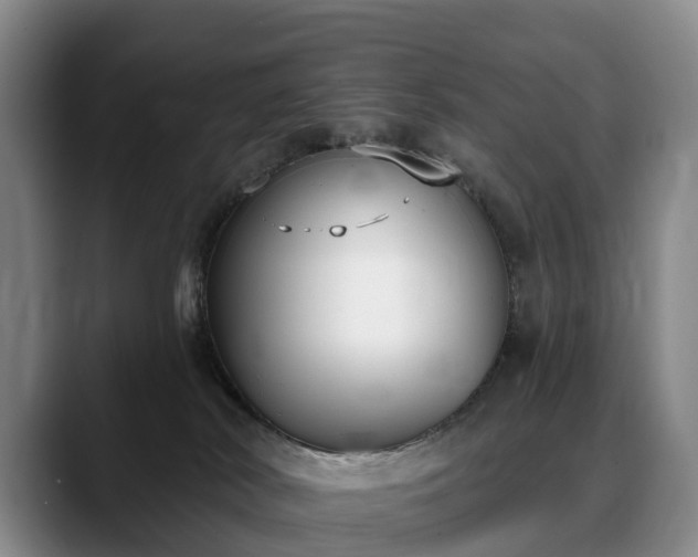 X0000088490038200705291657