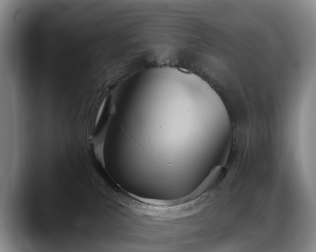 X0000088490039200705291657