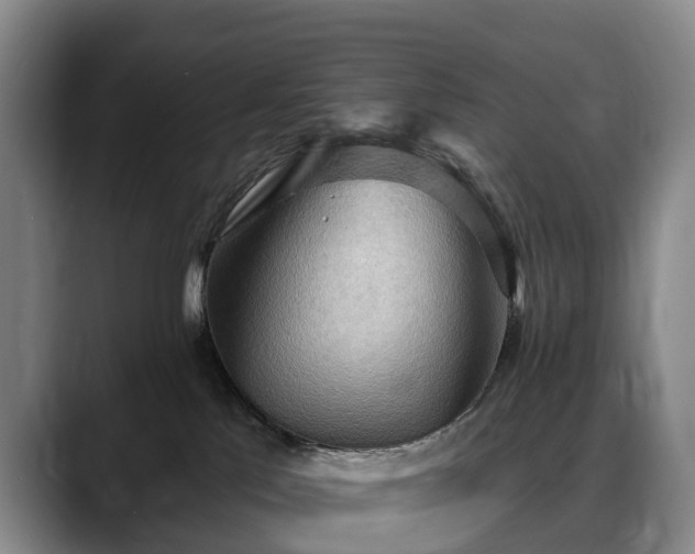X0000088490041200705291657