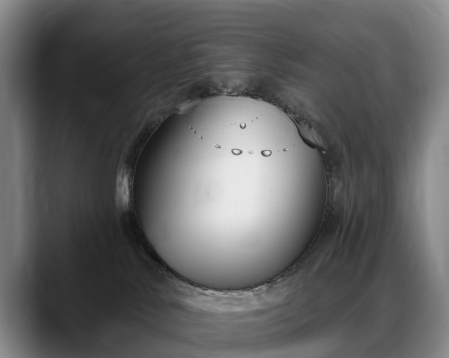 X0000088490042200705291657
