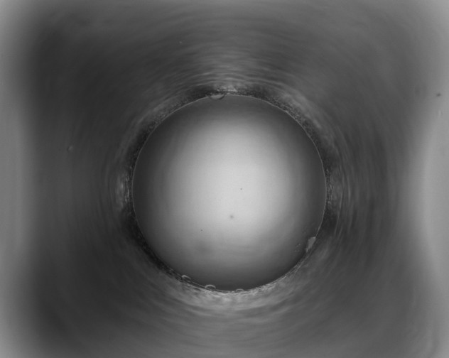 X0000088490043200705291656