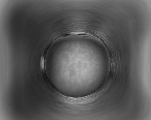 X0000088490046200705291656