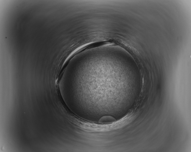 X0000088490048200705291656