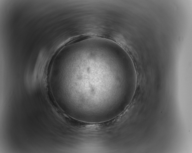 X0000088490050200705291656