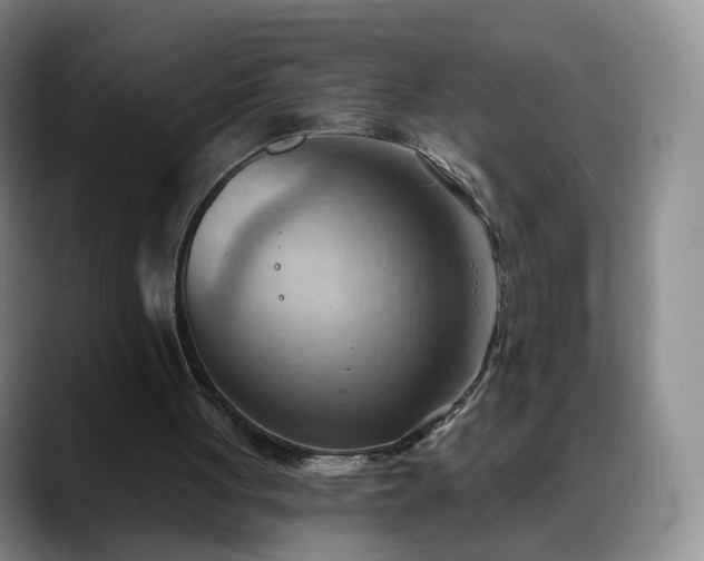 X0000088490051200705291656