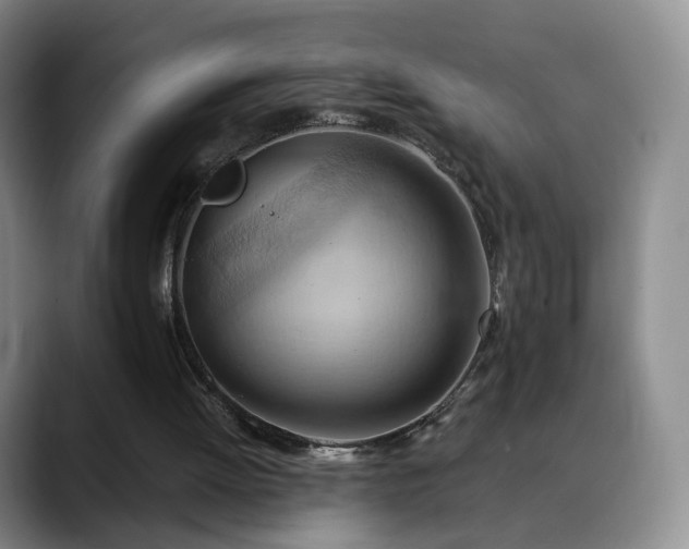 X0000088490052200705291656
