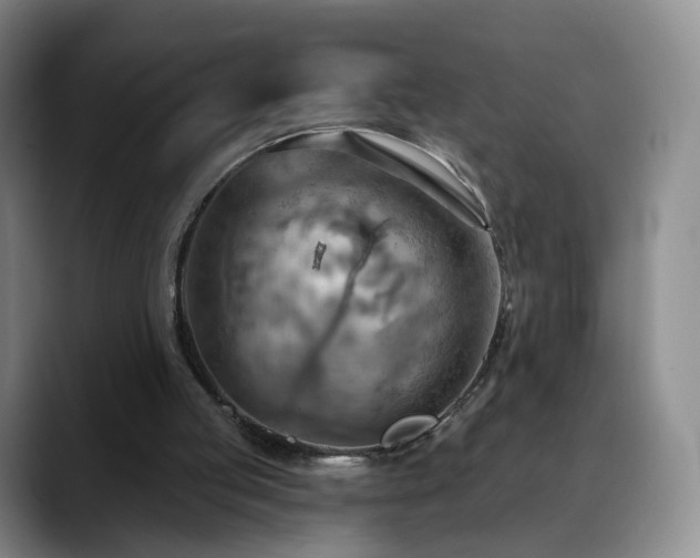 X0000088490053200705291656