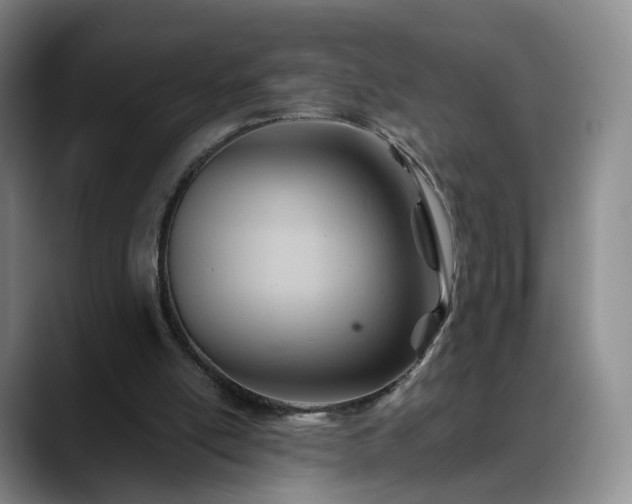 X0000088490054200705291656