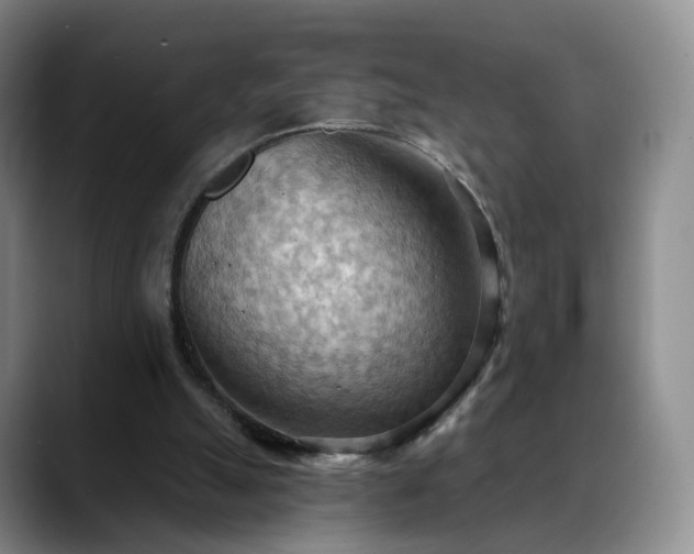 X0000088490055200705291656