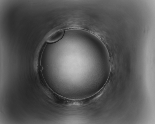 X0000088490056200705291656