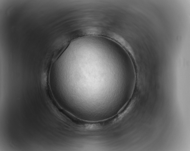 X0000088490057200705291656