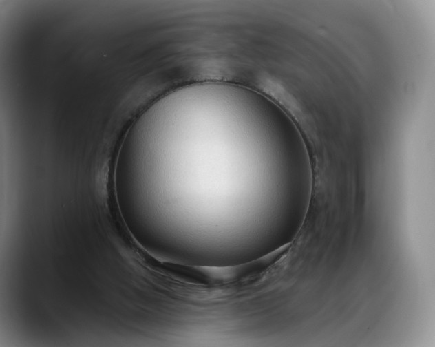 X0000088490058200705291656