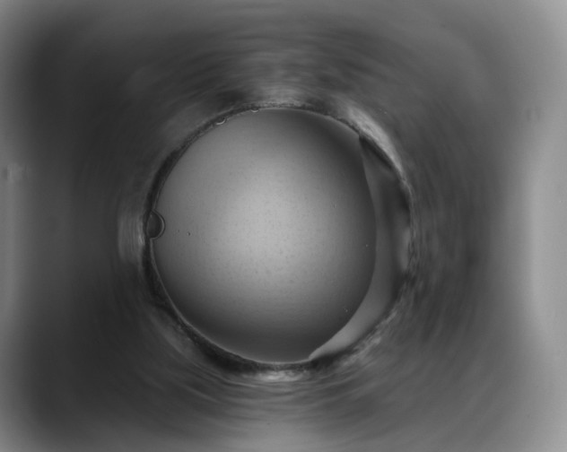 X0000088490059200705291656