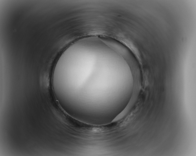 X0000088490060200705291656