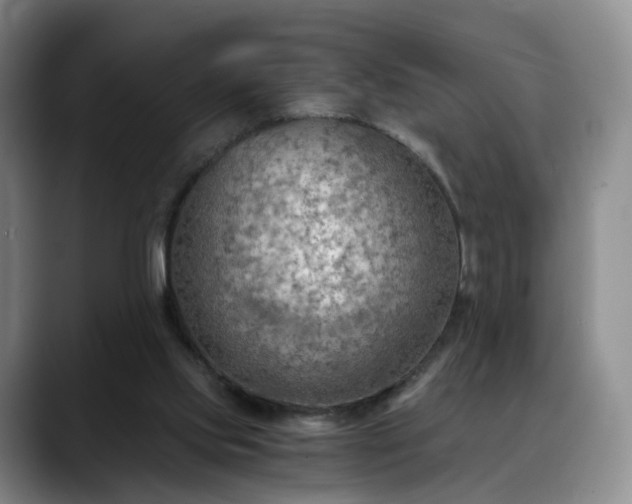 X0000088490061200705291656