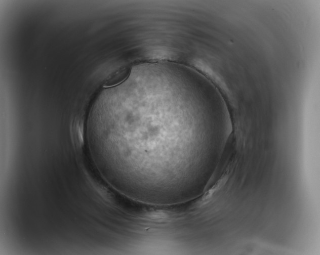 X0000088490062200705291656