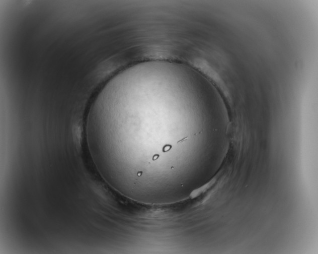 X0000088490063200705291656