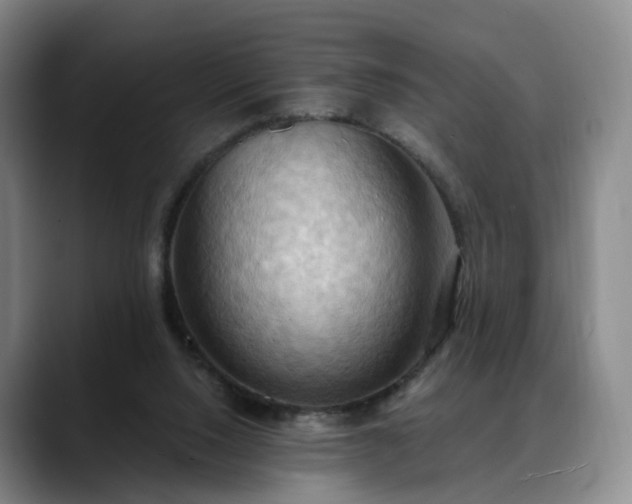 X0000088490064200705291656