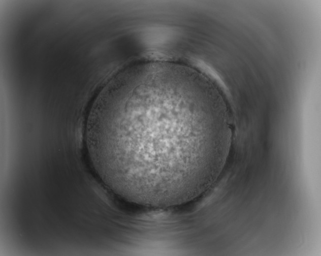 X0000088490065200705291656