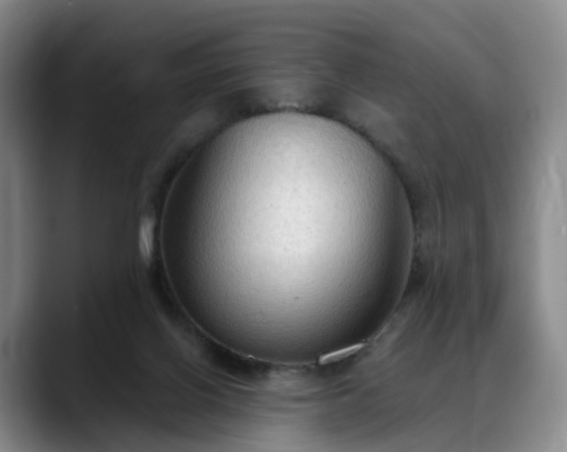 X0000088490070200705291656