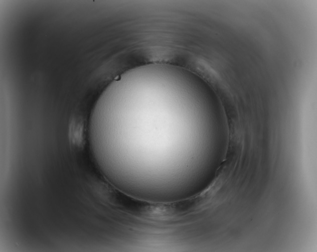 X0000088490074200705291656