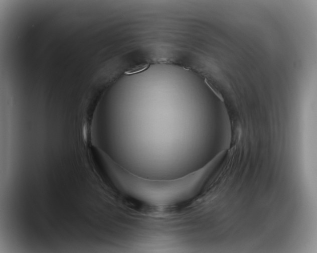 X0000088490076200705291656