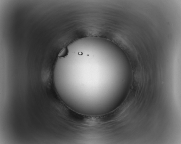 X0000088490079200705291656