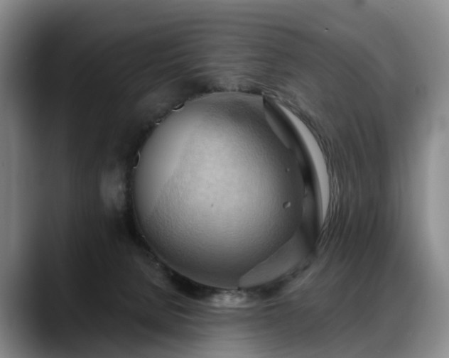 X0000088490080200705291656