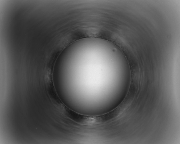 X0000088490083200705291656