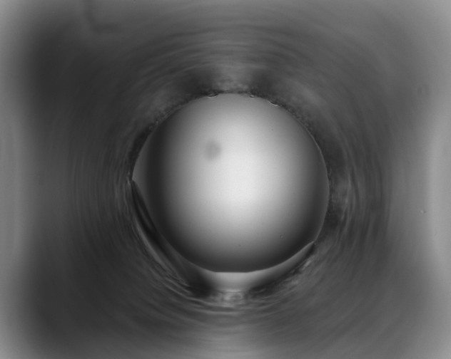 X0000088490084200705291656