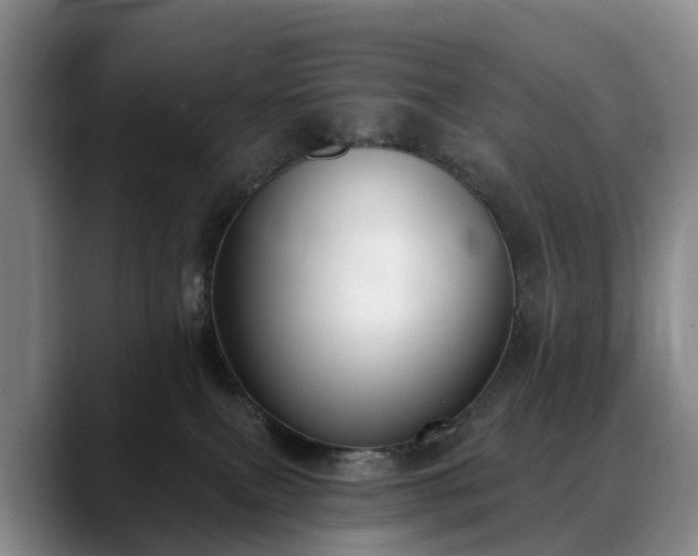 X0000088490087200705291656