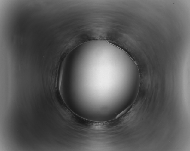 X0000088490088200705291656