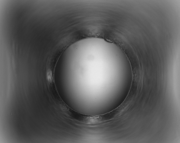 X0000088490089200705291656