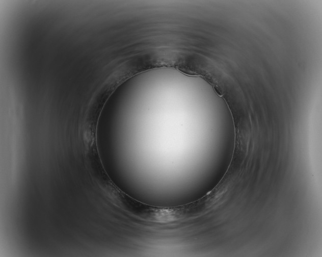 X0000088490091200705291656