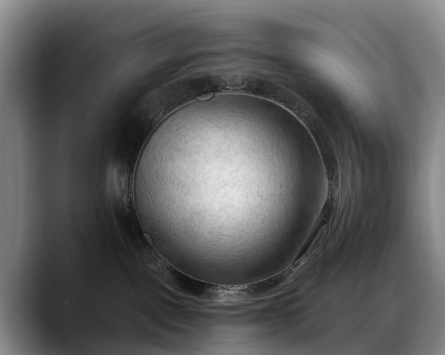 X0000088490093200705291656
